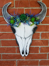Load image into Gallery viewer, 22" x 16.5" Cow/Bull Skull Door Hanger Wood Cutout